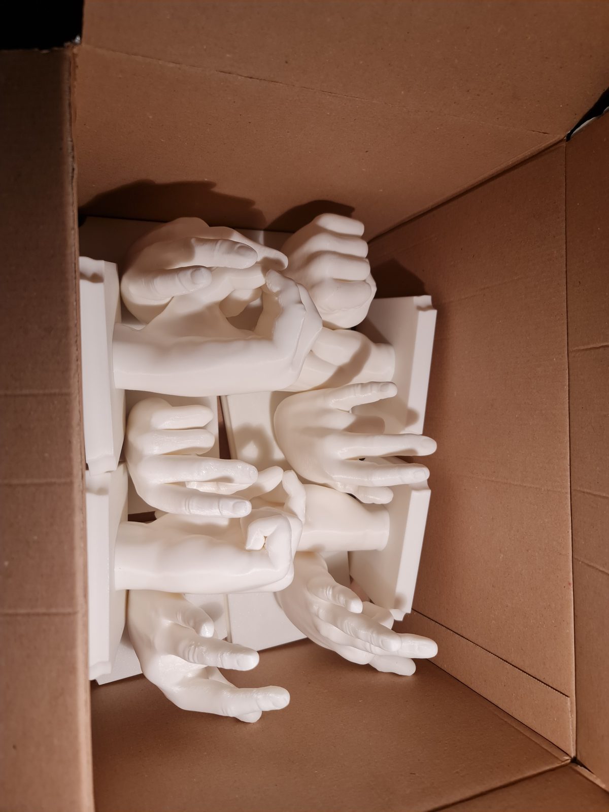 The hands and their bases packed tightly in a cardboard box